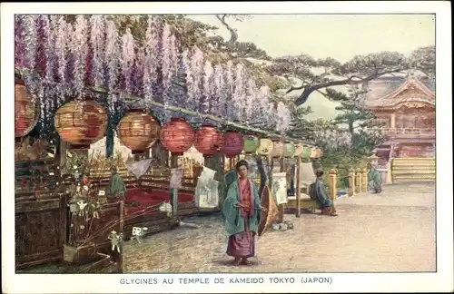Ak Tokio Präf. Tokio Japan, Glyzinien im Kameido-Tempel