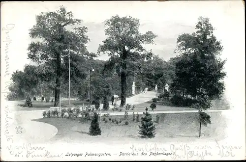 Ak Leipzig in Sachsen, Palmengarten, Parkanlagen