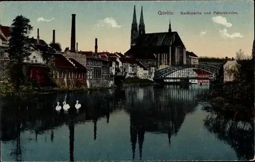 Ak Görlitz in der Lausitz, Neißepartie, Peterskirche, Brücke, Schwäne