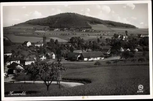 Ak Hainewalde Oberlausitz, Panorama