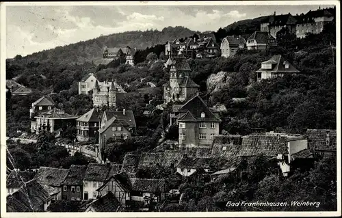 Ak Bad Frankenhausen am Kyffhäuser Thüringen, Weinberg