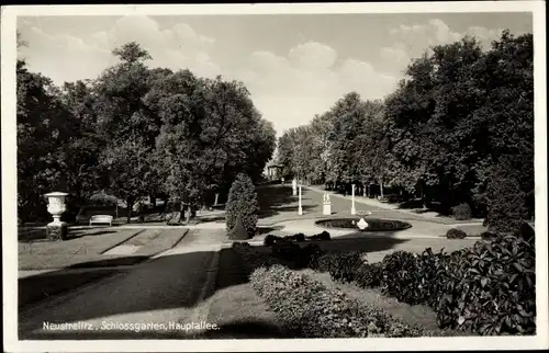 Ak Neustrelitz in Mecklenburg, Schlossgarten, Hauptallee