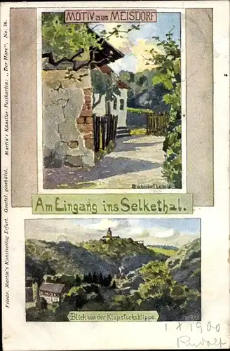 Künstler Ak Meisdorf Falkenstein Harz, Selketal, Wohnhäuser, Blick v. d. Klopstocksklippe