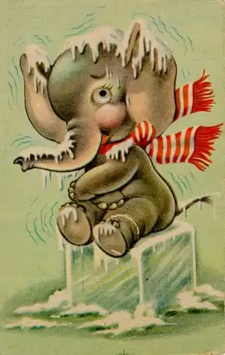 Wackelaugen Ak Elefant auf Eiswürfel sitzend