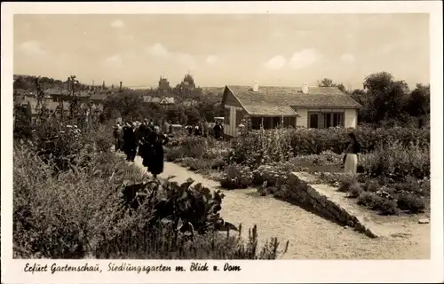 Ak Erfurt in Thüringen, Siedlungsgarten, Dom, Gartenschau