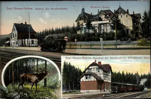 Ak Drei Annen Hohne Wernigerode im Harz, Bahnhof der Halberstadt Rübeland Bahn, Kurhotel, Hirsch