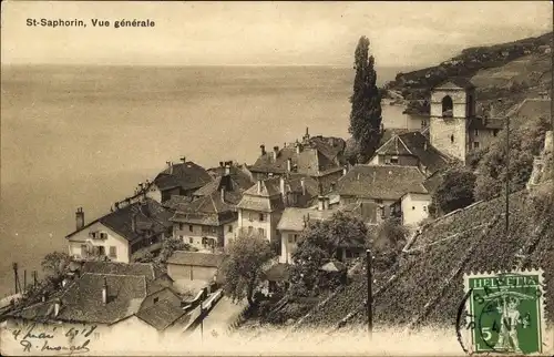 Ak Saint Saphorin Lavaux Kanton Waadt, vue generale