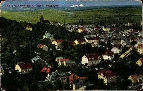 Ak Bad Freienwalde an der Oder, Panorama
