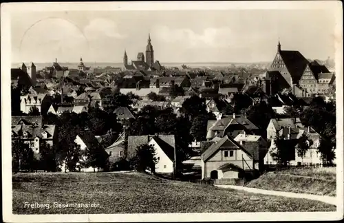 Ak Freiberg in Sachsen, Panorama