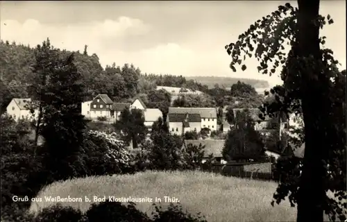 Ak Weißenborn Holzland Thüringen, Teilansicht