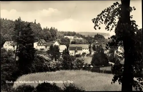 Ak Weißenborn Holzland Thüringen, Teilansicht