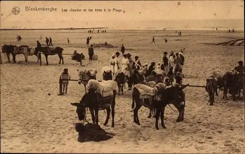 Ak Blankenberghe Blankenberge Westflandern, Pferde und Esel am Strand