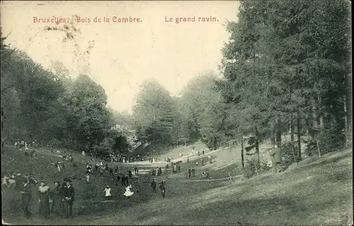 Ak Bruxelles Brüssel, Bois de la Cambre, Le grand ravin