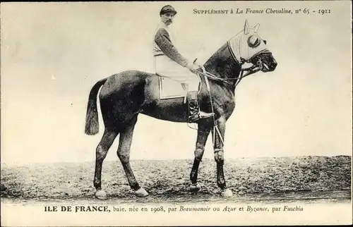 Ak La France Chevaline 1911, Ile de France von Beaumanoir oder Azur und Byzance