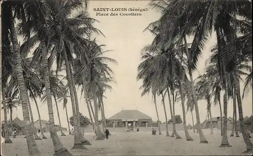 Ak Saint Louis Senegal, Place des Cocotiers, Palmen