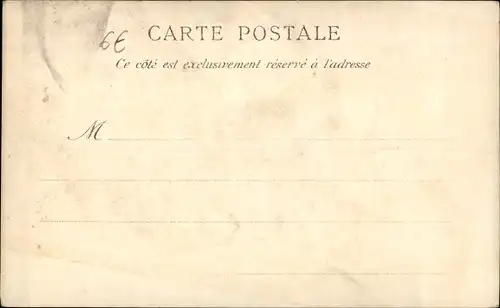 Ak Saint Louis Senegal, Place des Cocotiers, Palmen