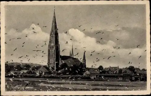 Ak Schleswig an der Schlei, Schleswiger Möwen, Kirche