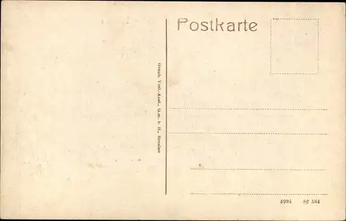 Ak Stadthagen in Niedersachsen, Schlosshof