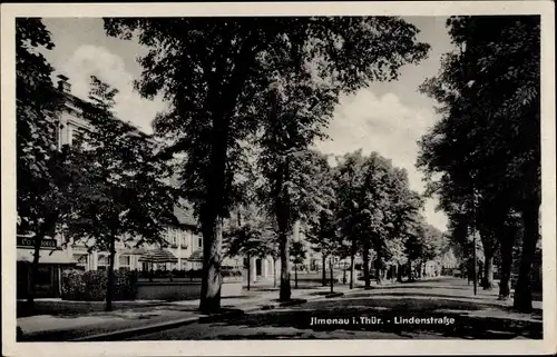 Ak Ilmenau in Thüringen, Lindenstraße, Allee