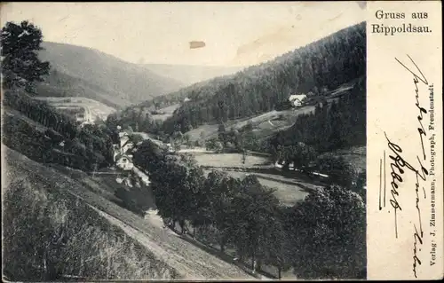 Ak Bad Rippoldsau Schapbach im Schwarzwald, Panorama