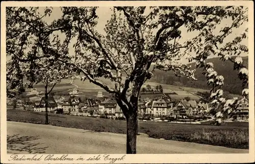 Ak Oberschlema Bad Schlema im Erzgebirge, Teilansicht zur Baumblüte