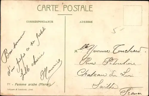 Ak Maghreb, Araberin Bearded Jung