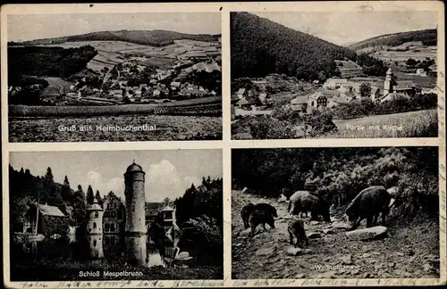 Ak Mespelbrunn im Spessart Unterfranken, Schloss Mespelbrunn, Heimbuchental, Wildschweine