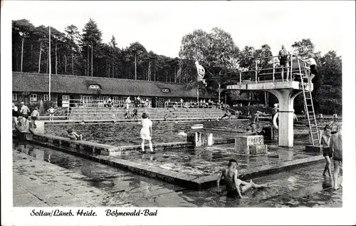 Ak Soltau Lüneburger Heide Niedersachsen, Böhmewald-Wald