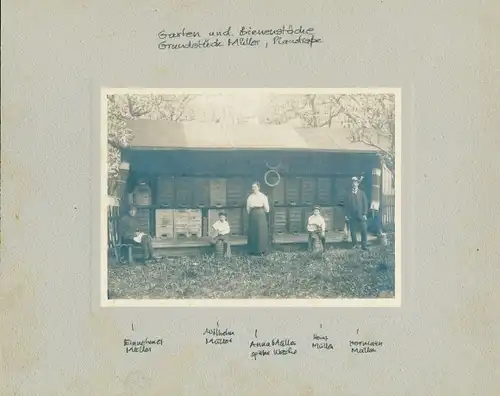 Foto Bienenstöcke Grundstück Müller, Plaustraße, Wilhelm Müller, Anna Müller, Heinz, Hermann
