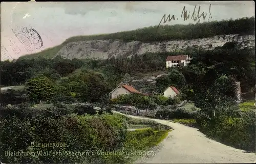 Ak Bleicherode am Harz, Bleichtal mit Waldschlösschen und Vogelbergklippen