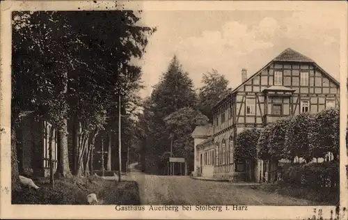 Ak Stolberg im Harz, Gasthaus Auerberg