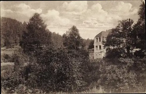 Ak Altenbrak Thale im Harz, Pension Villa Rosa