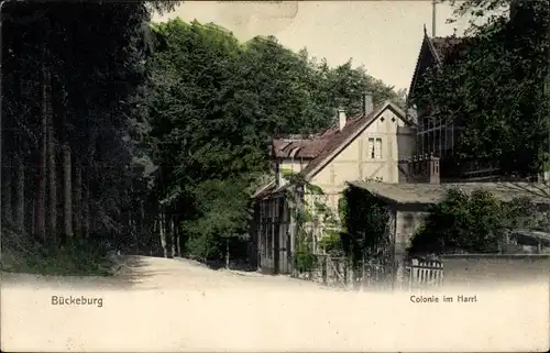 Ak Bückeburg im Kreis Schaumburg, Kolonie im Harrl