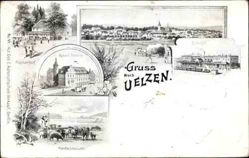 Litho Uelzen in Niedersachsen, Bahnhof, Fischerhof, Kaiserl. Postamt, Haidschnucken, Panorama