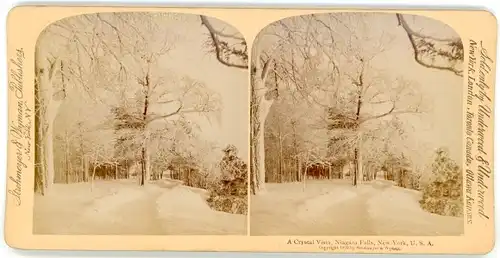 Stereo Foto Niagara Falls New York USA, Goat Island, A Crystal Vista