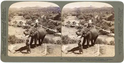 Stereo Foto Ceylon Sri Lanka, Valley of paddy fields, Elephant and keeper