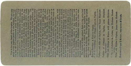 Stereo Foto Ceylon Sri Lanka, Valley of paddy fields, Elephant and keeper