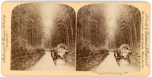 Stereo Foto Kyoto Präfektur Kyoto Japan, Bamboo Grove, Bambuswald, Rikscha