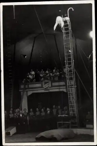 Foto Ak Goslar in Niedersachsen, Circus Apollo 1948, Leon de Rousseau, Akrobat