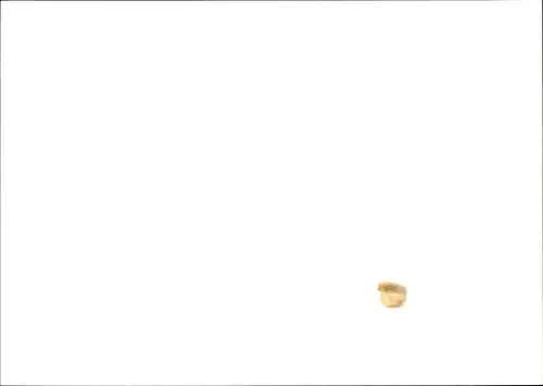 Foto BMW M3, Rennauto, Rennfahrer