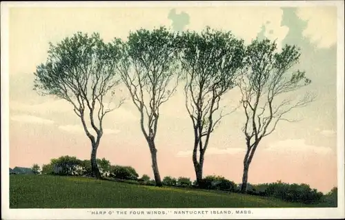 Ak Nantucket Massachusetts USA, Harfe der vier Winde