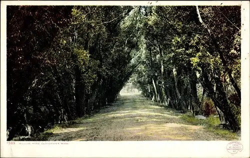 Ak Gloucester Massachusetts USA, Willow Road