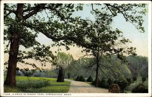 Ak Springfield Massachusetts USA, Eine Fahrt im Forest Park