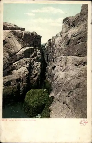 Ak Magnolia Gloucester Massachusetts USA, Rafes Chasm