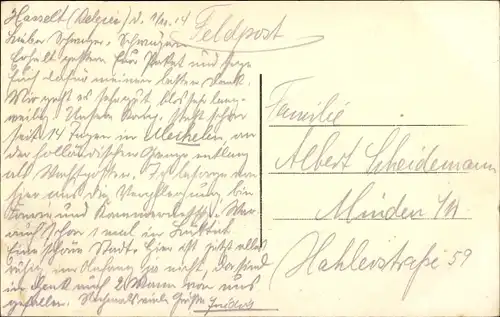 Ak Genck Flandern Limburg, Dans les marais, Kühe