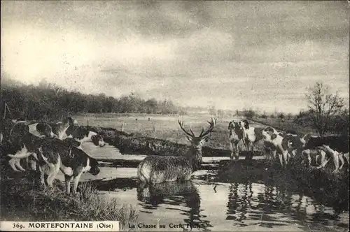 Ak Mortefontaine Oise, Jagd, Hunde, Hirsch im Wasser