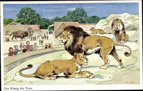 Künstler Ak Baumgarten, Fritz, Der König der Tiere, Löwen, Zoo