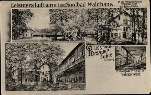 Ak Dölauer Heide Halle an der Saale, Leistners Luftkurort und Solbad Waldhaus