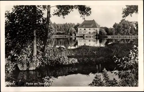 Ak Oleśnica Oels Schlesien, Partie am Teichhaus