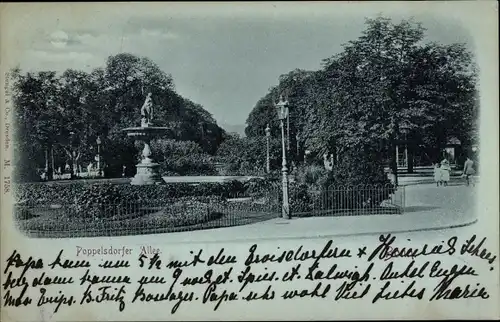 Mondschein Ak Bonn am Rhein, Poppelsdorfer Allee